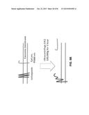 BIOMARKER COMPOSITIONS AND METHODS diagram and image