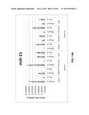 BIOMARKER COMPOSITIONS AND METHODS diagram and image