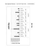 BIOMARKER COMPOSITIONS AND METHODS diagram and image