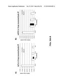 BIOMARKER COMPOSITIONS AND METHODS diagram and image