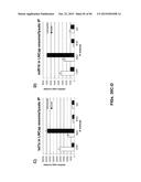 BIOMARKER COMPOSITIONS AND METHODS diagram and image