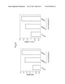 METHOD OF EVALUATING CELLULITE AND METHOD OF EVALUATING     CELLULITE-EFFECTIVE DRUG USING FIBULIN-3 AND/OR SARCOGLYCAN GAMMA AS AN     INDICATOR diagram and image