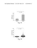 METHODS AND ASSAYS FOR FACIOSCAPULOHUMERAL MUSCULAR DYSTROPHY diagram and image