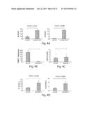 METHODS AND ASSAYS FOR FACIOSCAPULOHUMERAL MUSCULAR DYSTROPHY diagram and image