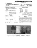 PREPARING METHOD FOR THIN POLARIZER, THIN POLARIZER AND POLARIZING PLATE     COMPRISING THE SAME diagram and image