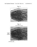 SYSTEM FOR SETTING ANALYSIS TARGET REGION diagram and image