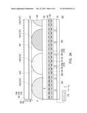 ELECTROPHORETIC DISPLAY APPARATUS diagram and image