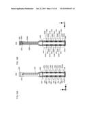 LIGHT SOURCE DEVICE AND PROJECTION-IMAGE DISPLAY APPARATUS diagram and image