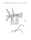 EYE IMAGING IN HEAD WORN COMPUTING diagram and image