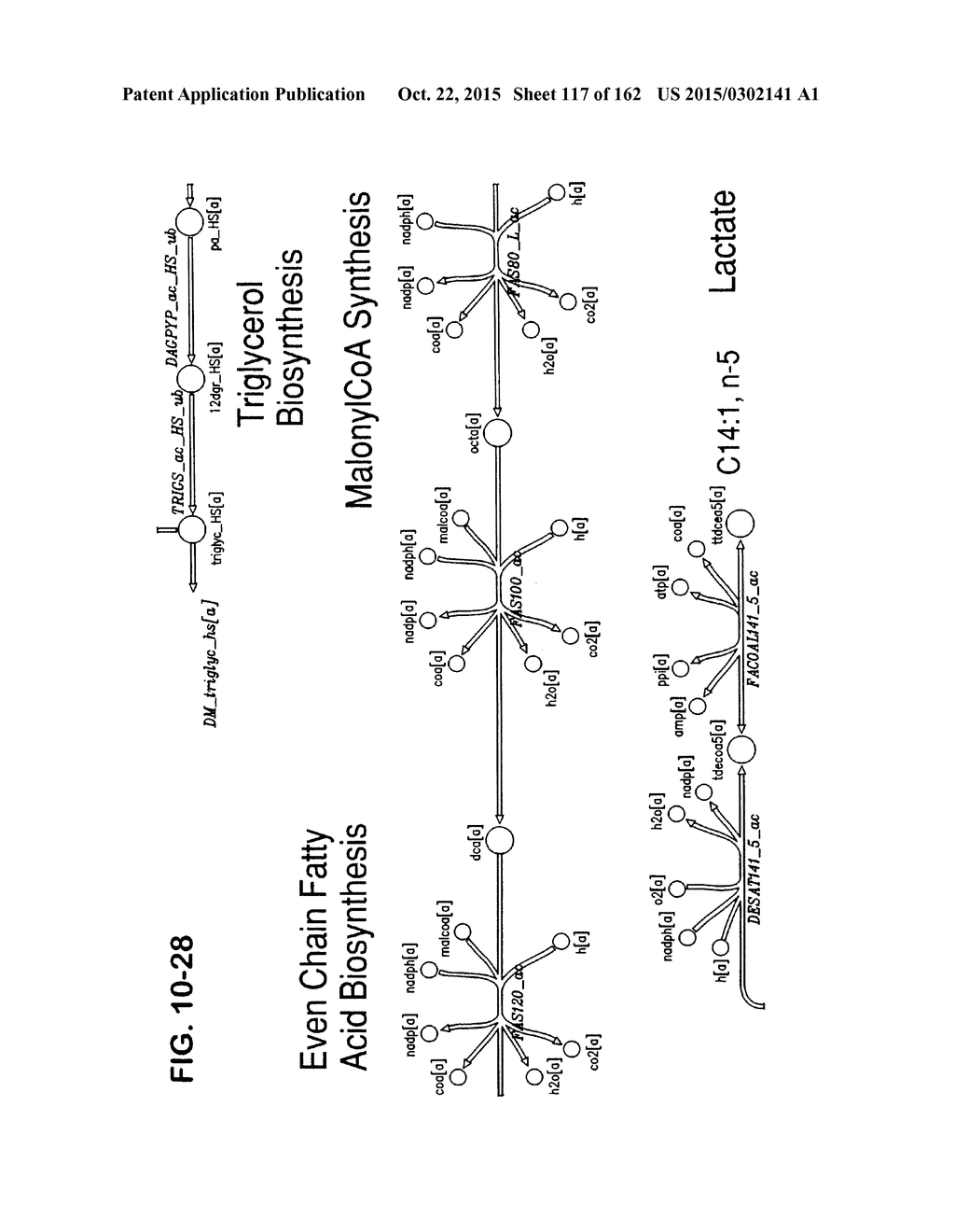 MULTICELLULAR METABOLIC MODELS AND METHODS - diagram, schematic, and image 118