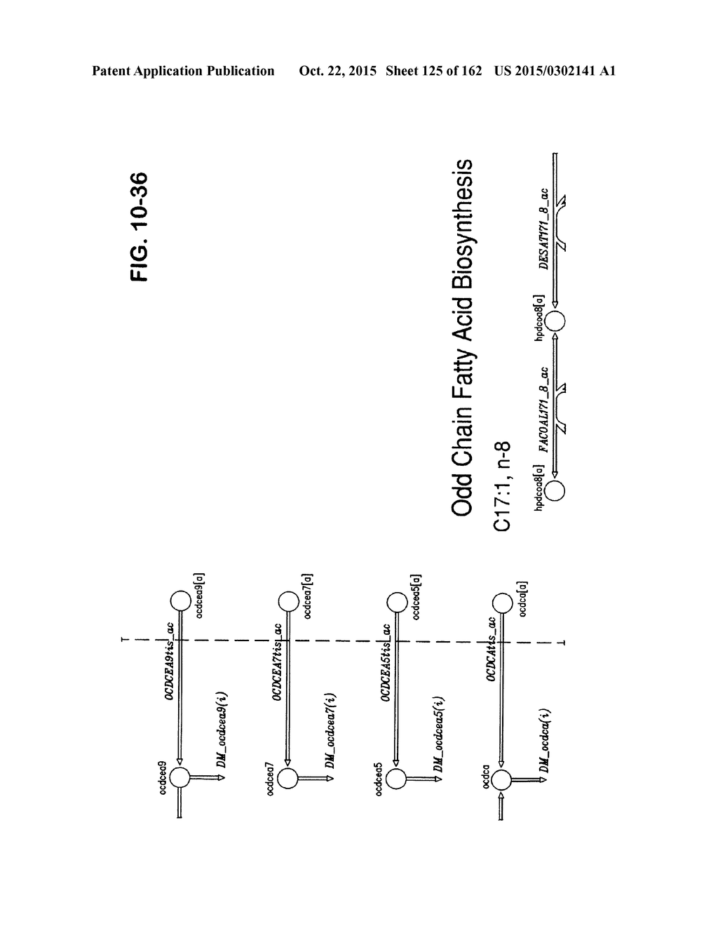 MULTICELLULAR METABOLIC MODELS AND METHODS - diagram, schematic, and image 126