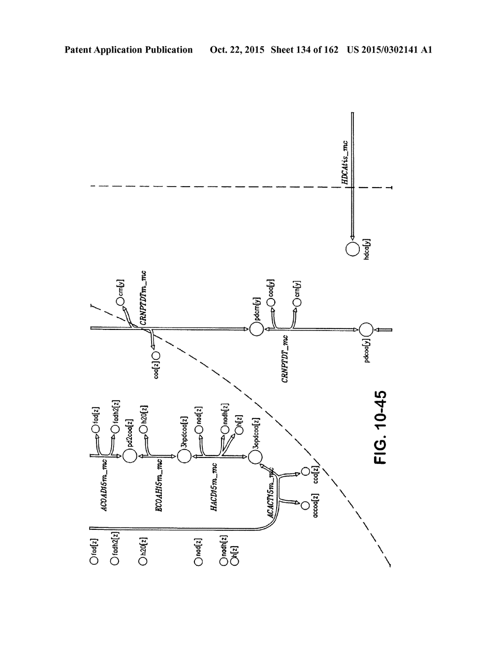 MULTICELLULAR METABOLIC MODELS AND METHODS - diagram, schematic, and image 135