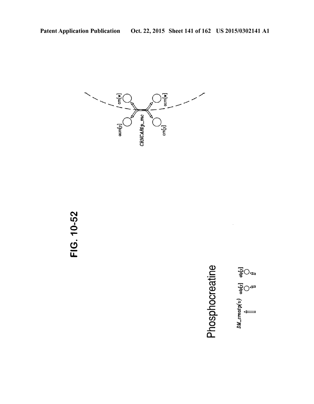 MULTICELLULAR METABOLIC MODELS AND METHODS - diagram, schematic, and image 142