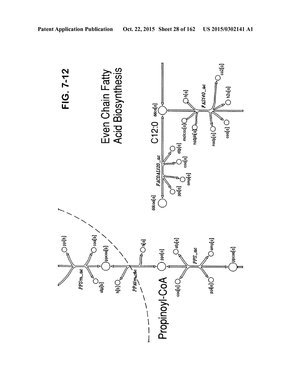 MULTICELLULAR METABOLIC MODELS AND METHODS - diagram, schematic, and image 29