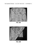 APPARATUS AND METHOD FOR PERFORMING MOTION CAPTURE USING A RANDOM PATTERN     ON CAPTURE SURFACES diagram and image