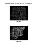 APPARATUS AND METHOD FOR PERFORMING MOTION CAPTURE USING A RANDOM PATTERN     ON CAPTURE SURFACES diagram and image