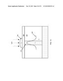 PASSIVATED UPSTANDING NANOSTRUCTURES AND METHODS OF MAKING THE SAME diagram and image