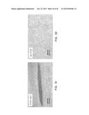 DRY ENERGY STORAGE DEVICE ELECTRODE AND METHODS OF MAKING THE SAME diagram and image