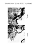 Electrochemical Synthesis of Elongated Noble Metal Nanoparticles, such as     Nanowires and Nanorods, on High-Surface Area Carbon Supports diagram and image