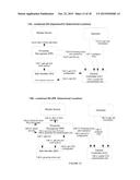 Source Based Anonymity and Segmentation for Visitors diagram and image