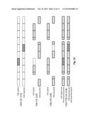 SYSTEMS AND METHODS FOR CONCURRENT SPECTRUM USAGE WITHIN ACTIVELY USED     SPECTRUM diagram and image