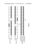 SYSTEMS AND METHODS FOR CONCURRENT SPECTRUM USAGE WITHIN ACTIVELY USED     SPECTRUM diagram and image