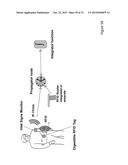 CHIRP NETWORKS diagram and image