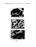 LIGHT WEIGHT CARBON FOAM AS ELECTROMAGNETIC INTERFERENCE (EMI) SHIELDING     AND THERMAL INTERFACE MATERIAL diagram and image