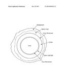 PROCESS AND COMPOSITION FOR KILLING SPORES diagram and image