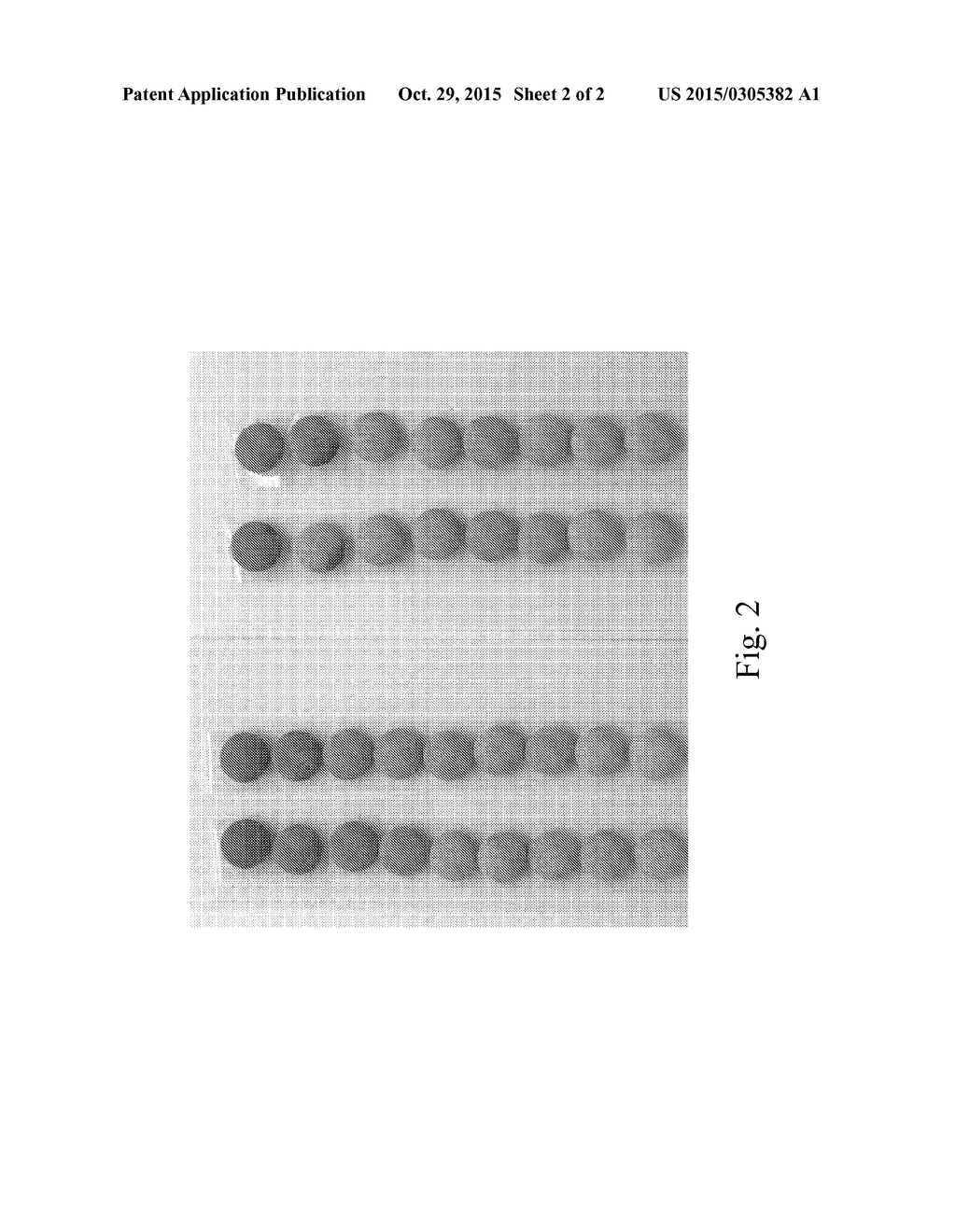 OPACITY MODIFYING AGENTS FOR EDIBLE PRODUCTS - diagram, schematic, and image 03