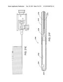 INSERTABLE ENDOSCOPIC INSTRUMENT FOR TISSUE REMOVAL diagram and image