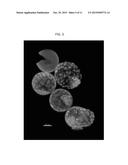 IN VITRO PLATFORM AND METHODS FOR CULTURING EMBRYOS FOR IMPLANTATION diagram and image