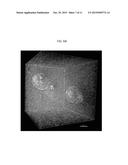 IN VITRO PLATFORM AND METHODS FOR CULTURING EMBRYOS FOR IMPLANTATION diagram and image