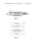 Methods and Devices for Treating a Bodily Lumen with In Situ Generated     Structural Support diagram and image