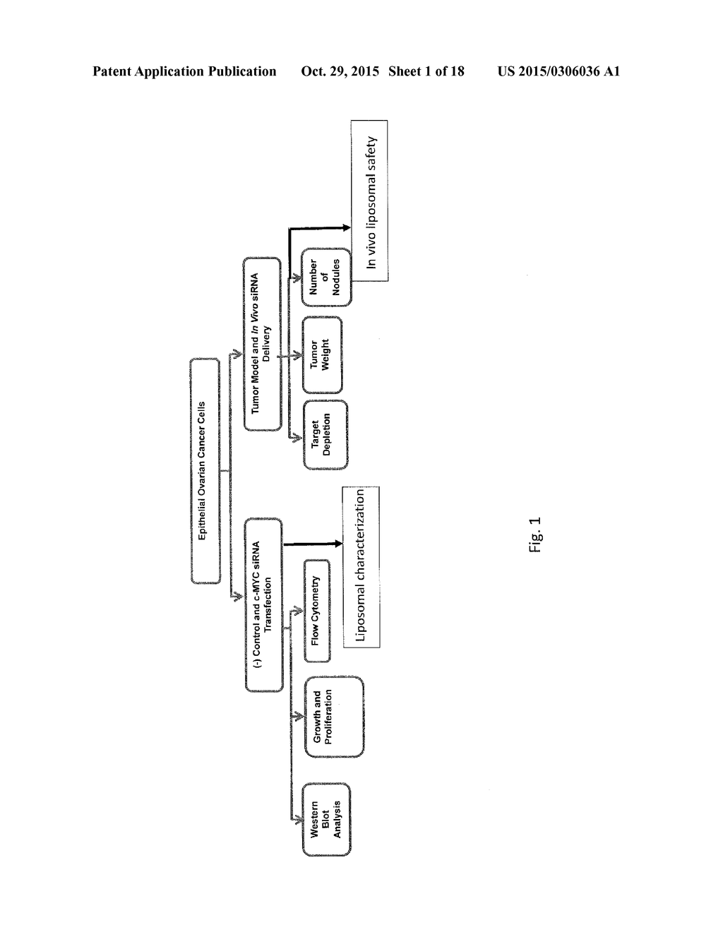 Nanoliposomal c-MYC-siRNA Inhibits In Vivo Tumor Growth of     Cisplatin-Resistant Ovarian Cancer - diagram, schematic, and image 02