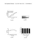 Nanoliposomal c-MYC-siRNA Inhibits In Vivo Tumor Growth of     Cisplatin-Resistant Ovarian Cancer diagram and image