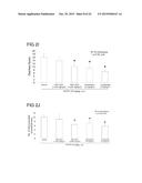 ALPINIA SPP. EXTRACTS FOR TREATING IRRITABLE BOWEL SYNDROME diagram and image