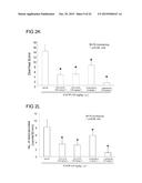 ALPINIA SPP. EXTRACTS FOR TREATING IRRITABLE BOWEL SYNDROME diagram and image