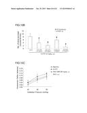 ALPINIA SPP. EXTRACTS FOR TREATING IRRITABLE BOWEL SYNDROME diagram and image