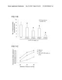 ALPINIA SPP. EXTRACTS FOR TREATING IRRITABLE BOWEL SYNDROME diagram and image