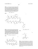 CYCLIC PEPTIDES AND USE AS MEDICINES diagram and image