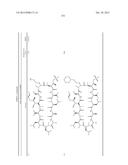 CYCLIC PEPTIDES AND USE AS MEDICINES diagram and image