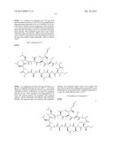 CYCLIC PEPTIDES AND USE AS MEDICINES diagram and image