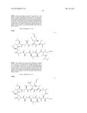 CYCLIC PEPTIDES AND USE AS MEDICINES diagram and image