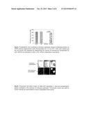 HEMOGLOBIN RECEPTOR AS NOVEL VACCINE FOR LEISHMANIASIS diagram and image