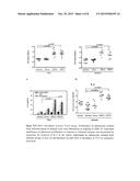 HEMOGLOBIN RECEPTOR AS NOVEL VACCINE FOR LEISHMANIASIS diagram and image