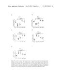 HEMOGLOBIN RECEPTOR AS NOVEL VACCINE FOR LEISHMANIASIS diagram and image