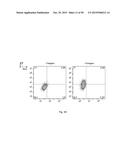 SYNTHETIC MEMBRANE-RECEIVER COMPLEXES diagram and image