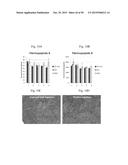 SYNTHETIC MEMBRANE-RECEIVER COMPLEXES diagram and image