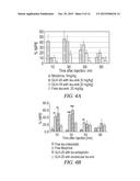 BOLAAMPHIPHILIC COMPOUNDS, COMPOSITIONS AND USES THEREOF diagram and image